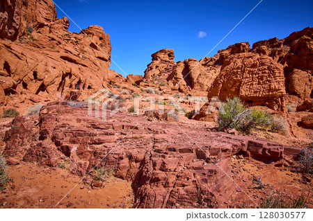 Red Sandstone Formations and Desert Shrubs under Blue Sky Moapa Valley 128030577