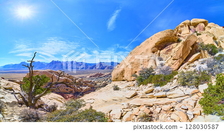 Red Rock Canyon Desert Landscape with Twisted Tree Low Perspective 128030587