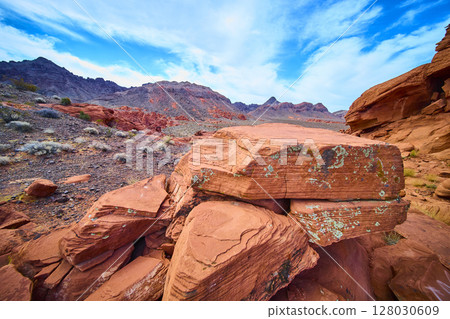 Redstone Dune Sandstone Formations in Desert Landscape Eye-Level View 128030609