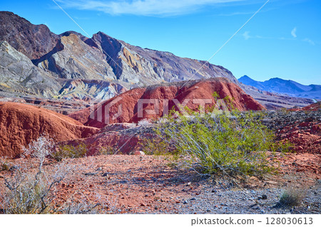 Red Rock Formations and Mountain Range with Desert Vegetation Eye-Level View Red Rock Formations and Mountain Range with Desert Vegetation Eye-Level View 128030613