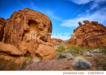 Red Sandstone Formations and Desert Vegetation Eye-Level View 128030619