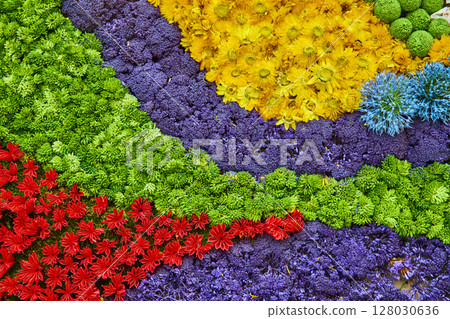 Aerial of Vibrant Floral Tapestry at Bellagio Gardens 128030636
