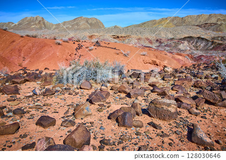 Desert Rocks and Shrubs in Vibrant Sunlight Eye-Level View Desert Rocks and Shrubs in Vibrant Sunlight Eye-Level View 128030646