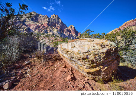 Red Rock Canyon Rugged Formations with Desert Vegetation Eye Level Perspective 128030836