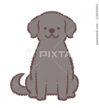 Black Labrador Retriever sitting facing forward 128030841