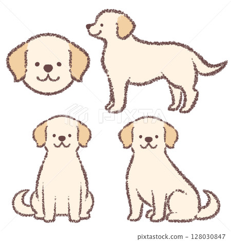 拉布拉多獵犬變異套裝 128030847