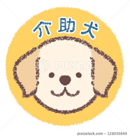 服務犬拉布拉多獵犬圖標 128030849