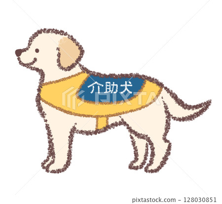 拉布拉多獵犬，一隻側躺的服務犬 128030851