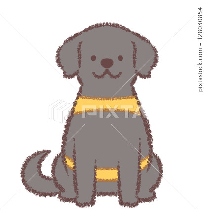 A black Labrador retriever service dog sitting facing forward A black Labrador retriever service dog sitting facing forward 128030854