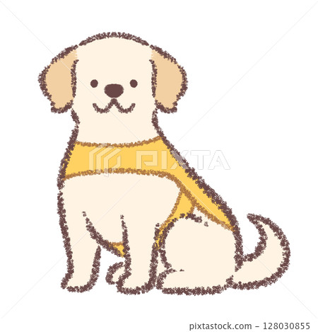 A Labrador retriever service dog sitting facing sideways in front 128030855