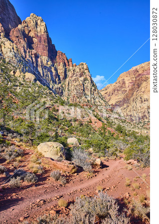 Red Rock Canyon Desert Trail at Eye Level in Nevada Red Rock Canyon Desert Trail at Eye Level in Nevada 128030872
