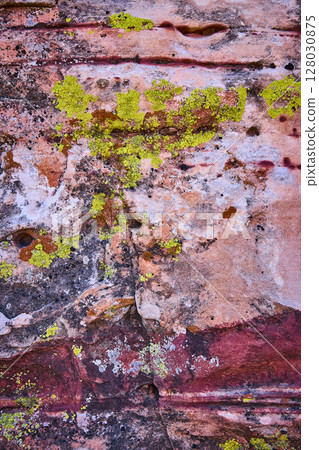 Weathered Rock with Lichen Patterns Close-Up 128030875
