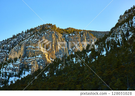 Golden Hour in Mt Charleston Nevada Snowy Peaks with Forested Slopes Golden Hour in Mt Charleston Nevada Snowy Peaks with Forested Slopes 128031028