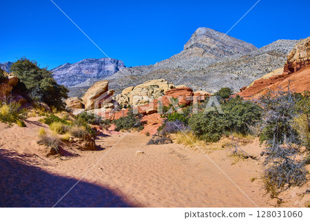 Red Rock Canyon Desert Landscape with Vivid Colors Eye-Level View Red Rock Canyon Desert Landscape with Vivid Colors Eye-Level View 128031060