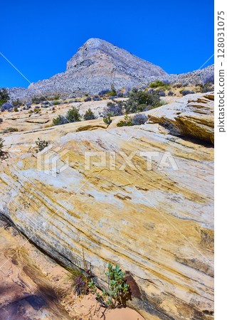 Rugged Rocky Mountain and Striated Rocks Desert View from Low Angle 128031075
