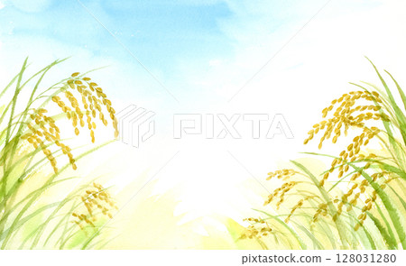 Watercolor rice ears background Watercolor rice ears background 128031280
