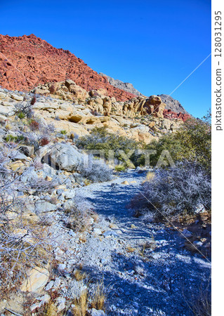 Red Rock Formations and Desert Path Midday Eye Level View 128031295