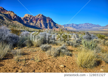 Red Rock Desert Landscape and Vegetation with Mountain View 128031327