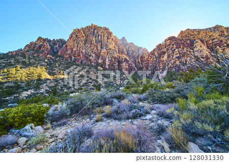 Red Rock Canyon Sandstone Cliffs with Desert Vegetation Eye-Level View Red Rock Canyon Sandstone Cliffs with Desert Vegetation Eye-Level View 128031330