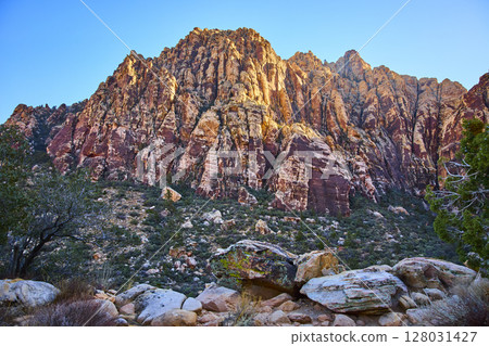 Red Rock Canyon Sandstone Cliffs with Desert Vegetation Eye-Level View 128031427