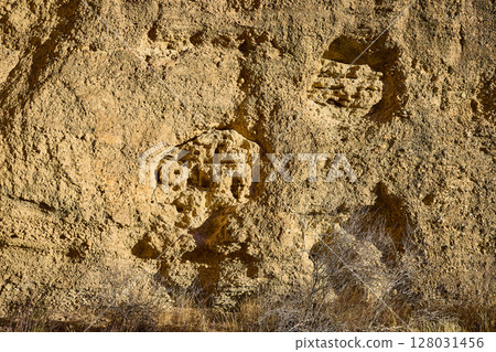 Eroded Cliff Face with Sparse Shrubs in Nevada Desert Eye-Level View Eroded Cliff Face with Sparse Shrubs in Nevada Desert Eye-Level View 128031456