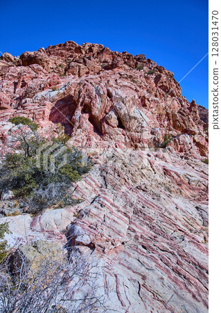 Red Rock Canyon Rugged Layers and Desert Flora Eye-Level Perspective Red Rock Canyon Rugged Layers and Desert Flora Eye-Level Perspective 128031470