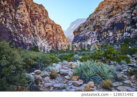 Red Rock Canyon Cliffs and Desert Vegetation Eye-Level Perspective Red Rock Canyon Cliffs and Desert Vegetation Eye-Level Perspective 128031492