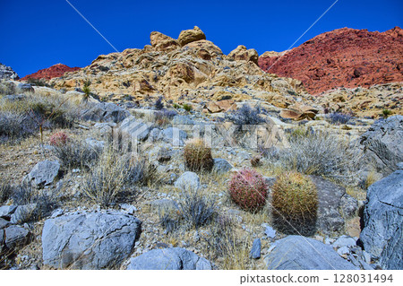 Desert Rock Formations with Barrel Cacti Eye-Level View Desert Rock Formations with Barrel Cacti Eye-Level View 128031494