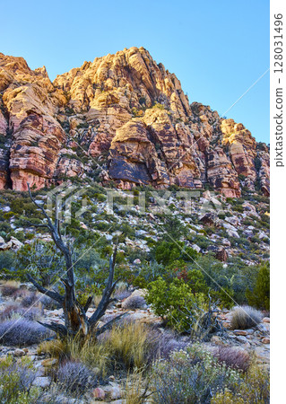 Rugged Red Rock Canyon with Twisted Tree Eye-Level Perspective Rugged Red Rock Canyon with Twisted Tree Eye-Level Perspective 128031496