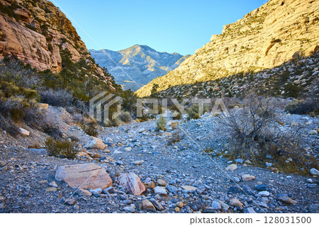 Red Rock Canyon Desert Path at Golden Hour Eye-Level Perspective Red Rock Canyon Desert Path at Golden Hour Eye-Level Perspective 128031500