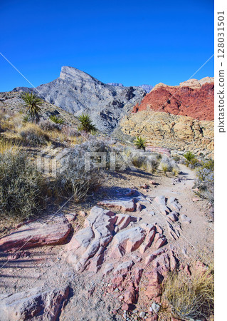 Desert Trail to Red Rock Canyon with Mountain Backdrop Eye-Level View Desert Trail to Red Rock Canyon with Mountain Backdrop Eye-Level View 128031501