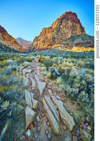 Red Rock Canyon Desert Path at Golden Hour Eye-Level View Red Rock Canyon Desert Path at Golden Hour Eye-Level View 128031502