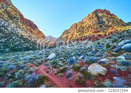Red Rock Canyon Desert Landscape at Golden Hour Eye-Level View Red Rock Canyon Desert Landscape at Golden Hour Eye-Level View 128031504