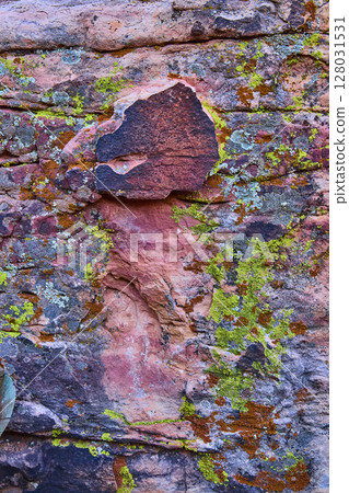 Vibrant Lichen on Weathered Red Rock Texture Close-Up Vibrant Lichen on Weathered Red Rock Texture Close-Up 128031531