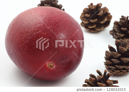 光澤的紅芒果 128032015