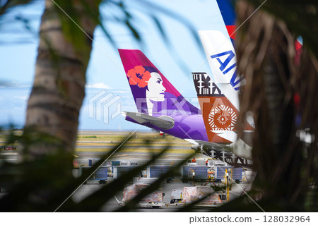夏威夷檀香山機場夏威夷航空 夏威夷檀香山機場夏威夷航空 128032964