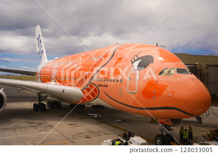 Hawaii Flying Honu 128033005