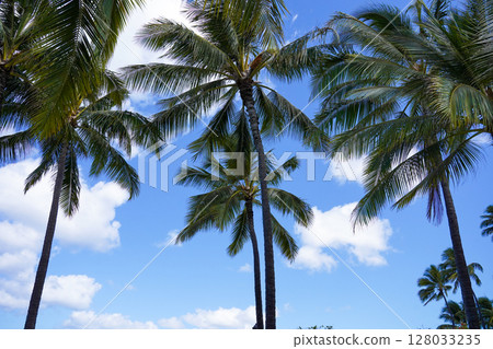 Hawaii, palm trees at Kapiolani Beach Park Hawaii, palm trees at Kapiolani Beach Park 128033235