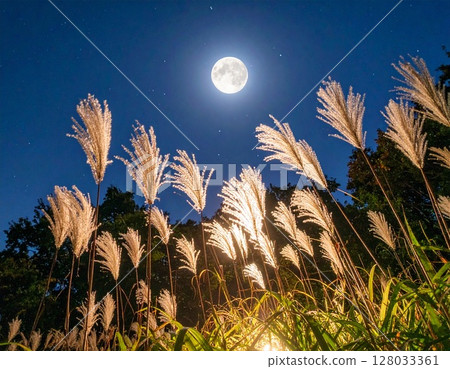 On the night of Tanabata, the full moon and starry sky seen through the Japanese pampas grass 128033361