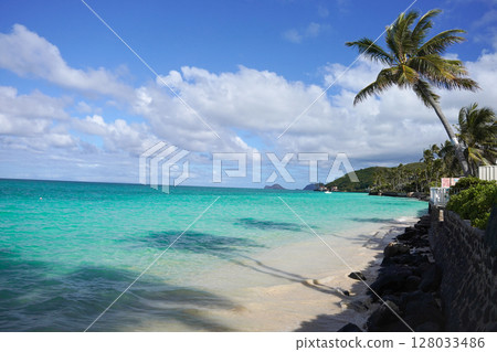 夏威夷Lanikai海灘 夏威夷Lanikai海灘 128033486