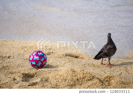 Birds on Lanikai Beach, Hawaii Birds on Lanikai Beach, Hawaii 128033511