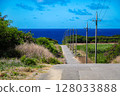 Japan's southernmost point, Hateruma Island, Okinawa: Road to the sea and sugarcane fields 128033888