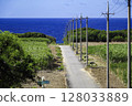 Japan's southernmost point, Hateruma Island, Okinawa: Road to the sea and sugarcane fields 128033889