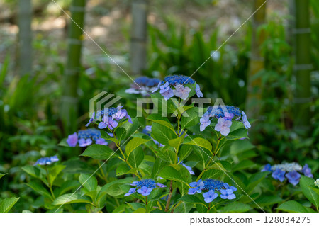 夏日風景 夏日風景 128034275