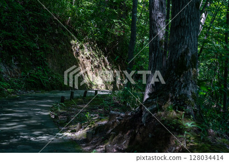 Summer landscape 128034414