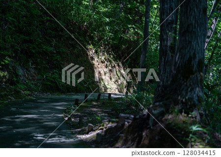 Summer landscape 128034415