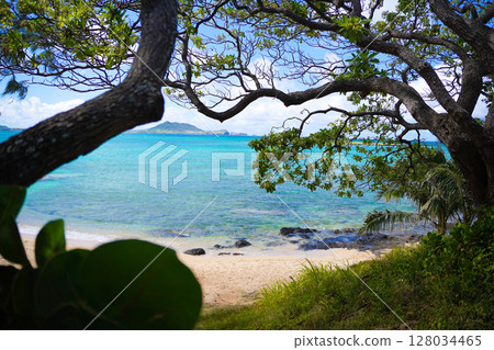 夏威夷凱盧阿海灘 夏威夷凱盧阿海灘 128034465