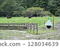Fly trap 128034639