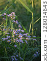 wild flowers of the wild grass 128034643