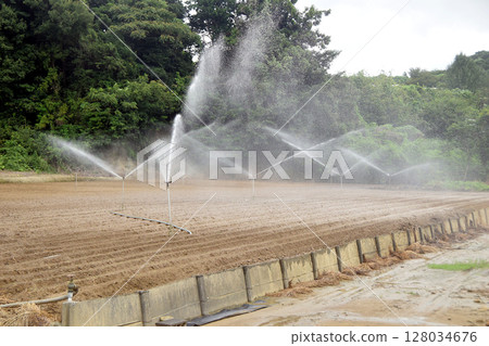 給田地澆水 給田地澆水 128034676
